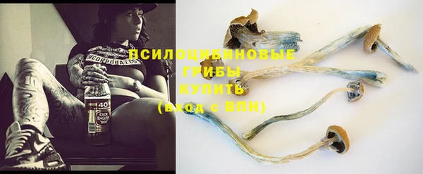 apvp Белокуриха