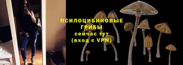меф Беломорск