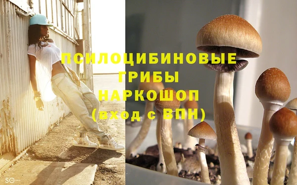 apvp Белокуриха