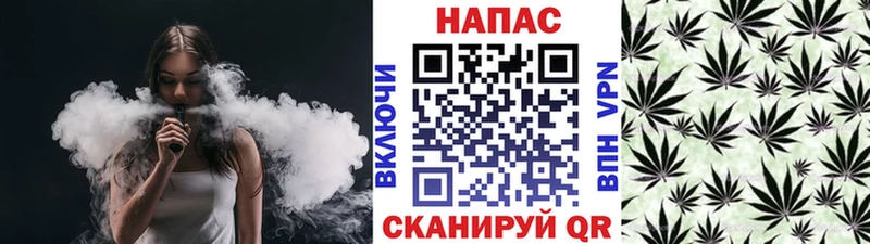 МЕГА ТОР  где можно купить   Верещагино  Бошки марихуана индика 